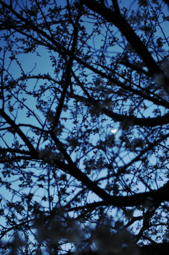 c0129498_1201612.jpg