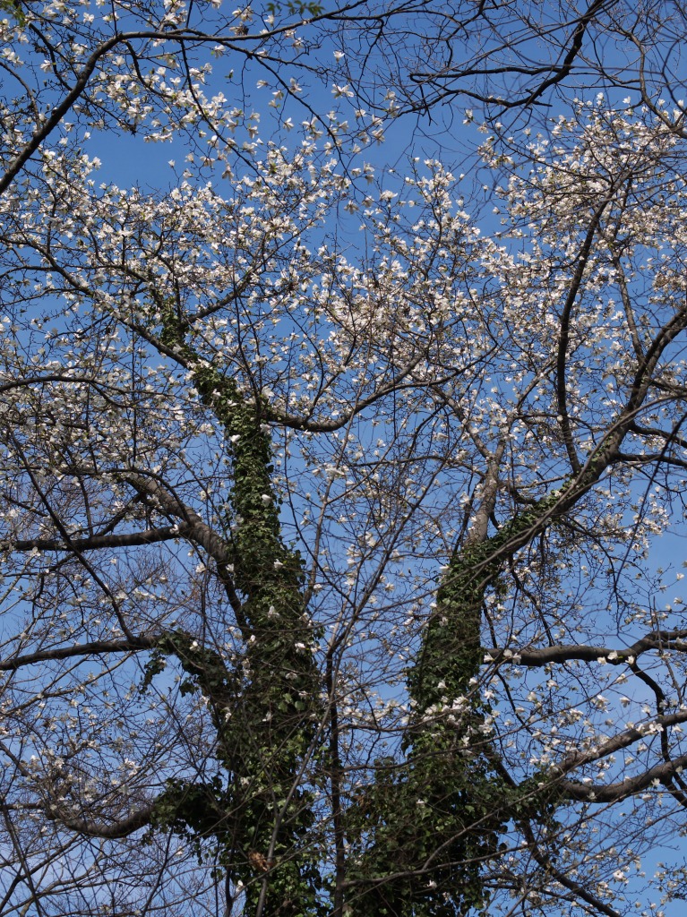 f0224100_783467.jpg