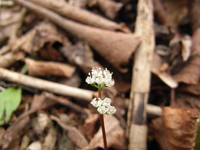 f0187402_18472074.jpg