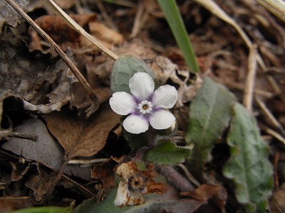 f0187402_1847599.jpg