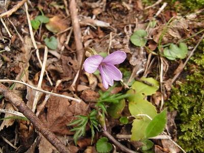 f0187402_18481662.jpg