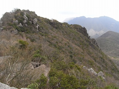 f0187402_18482655.jpg