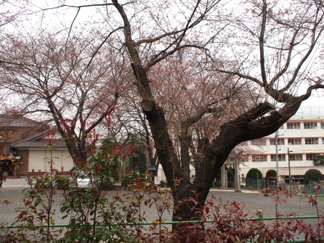 d0135403_20571723.jpg