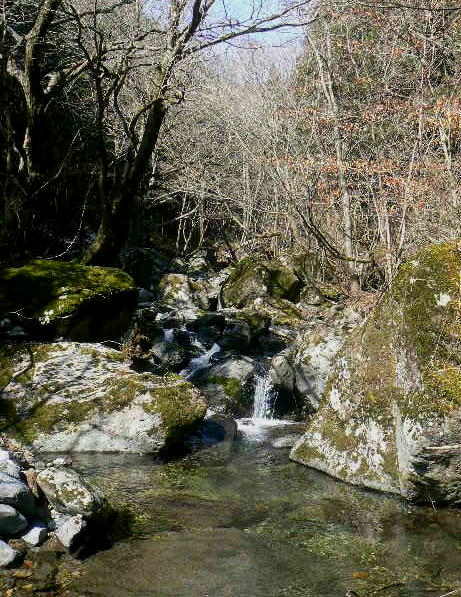 f0164503_11485827.jpg