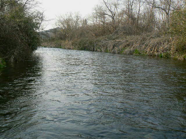 f0164503_1236059.jpg