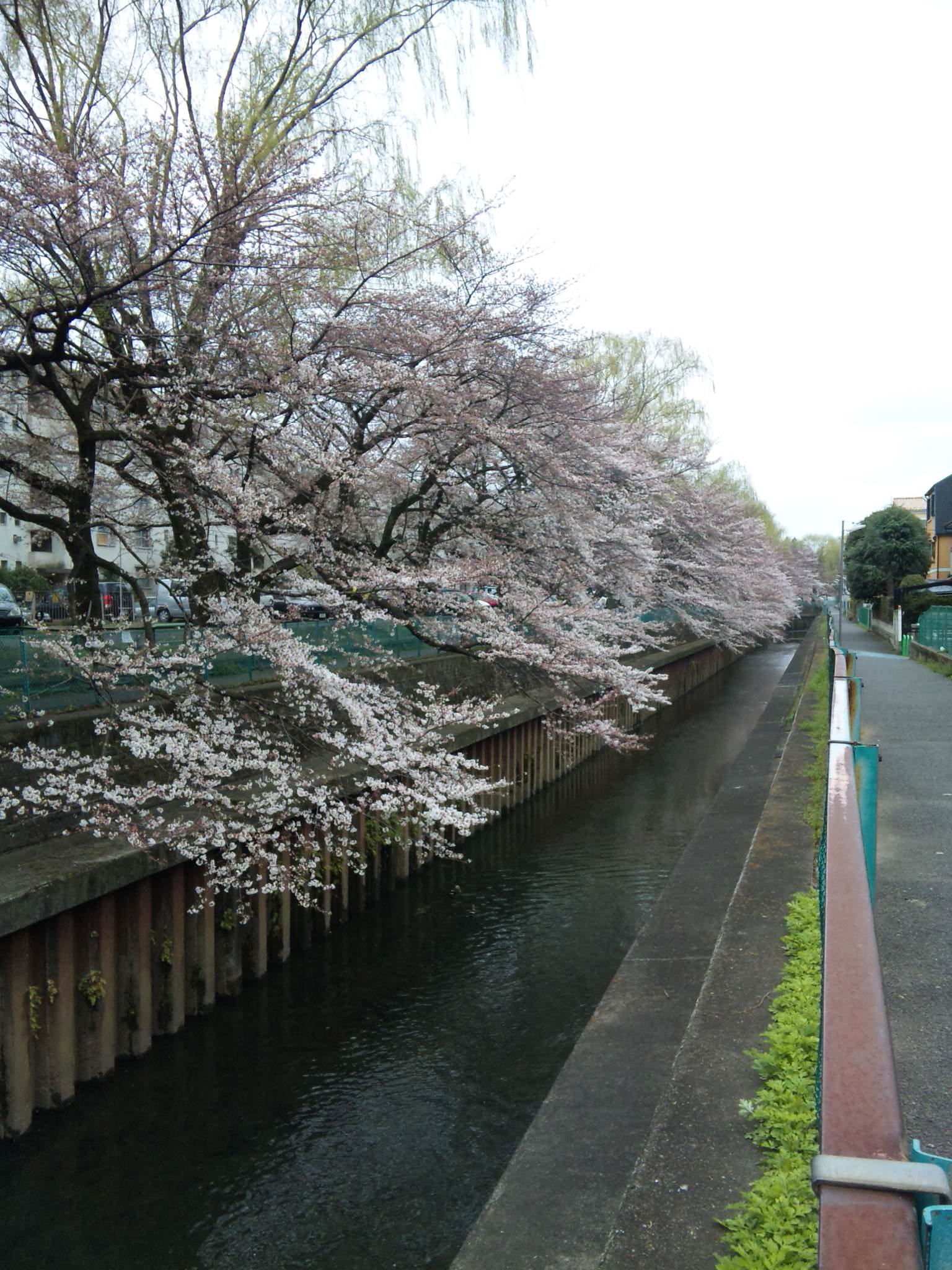 e0131904_1122749.jpg