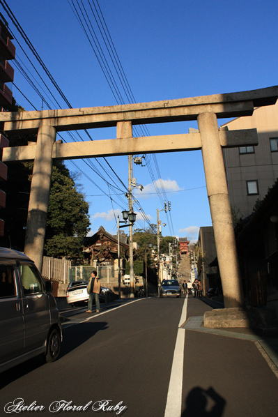 d0001008_14255050.jpg