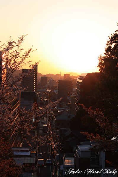 d0001008_14305561.jpg