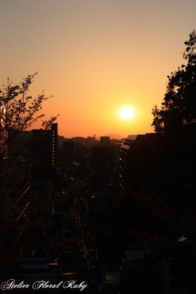 d0001008_1430828.jpg