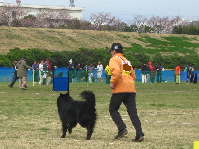 d0150309_20575266.jpg