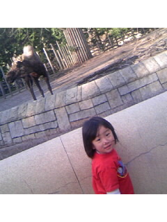 f0009509_1553440.jpg
