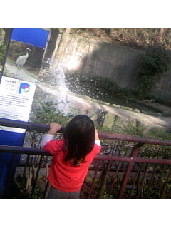 f0009509_1553441.jpg