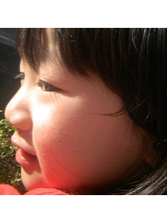 f0009509_1553485.jpg
