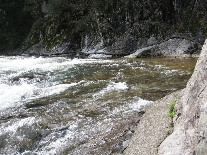 f0017712_20415665.jpg