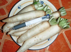 a0043520_10495432.jpg