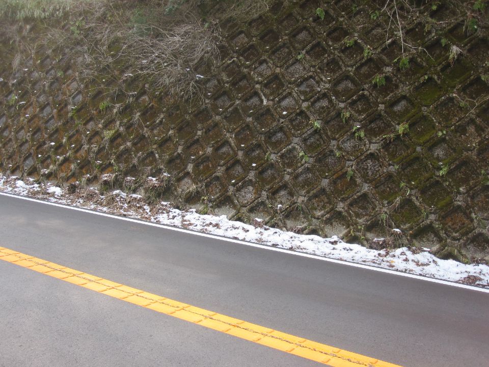 c0225420_11572876.jpg