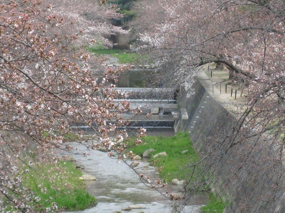 c0225420_1223873.jpg