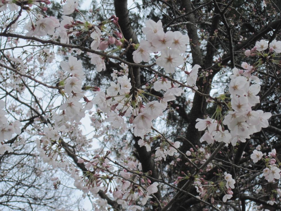 c0225420_221312.jpg