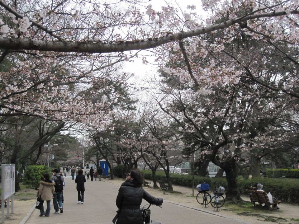 c0225420_2213136.jpg