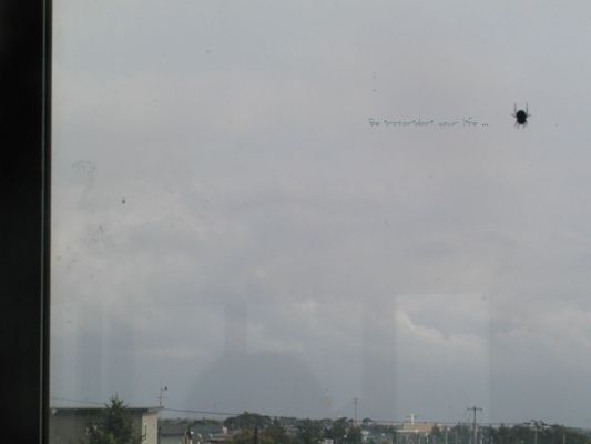 a0164223_17472163.jpg