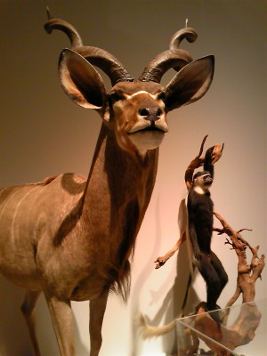 f0000425_1437022.jpg