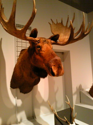 f0000425_14371242.jpg