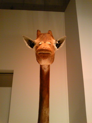 f0000425_14372323.jpg