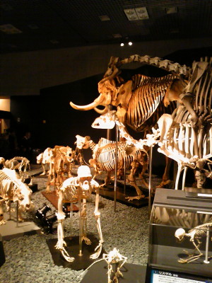 f0000425_14373411.jpg