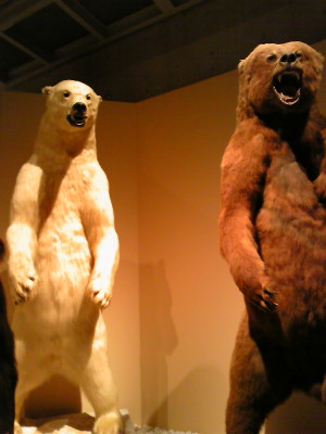 f0000425_14374662.jpg