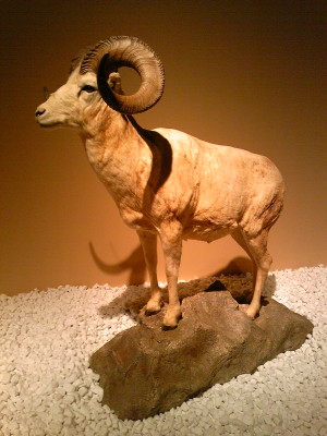 f0000425_14375586.jpg