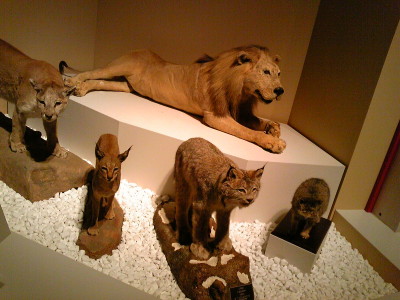 f0000425_14381414.jpg