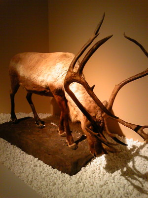 f0000425_1438415.jpg