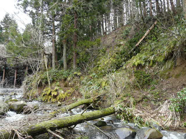 e0147226_2024762.jpg