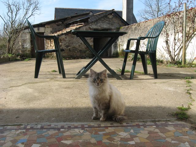 c0188527_339078.jpg
