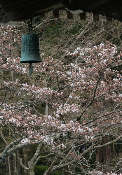 c0215627_9542100.jpg