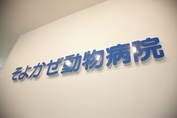f0222527_044218.jpg