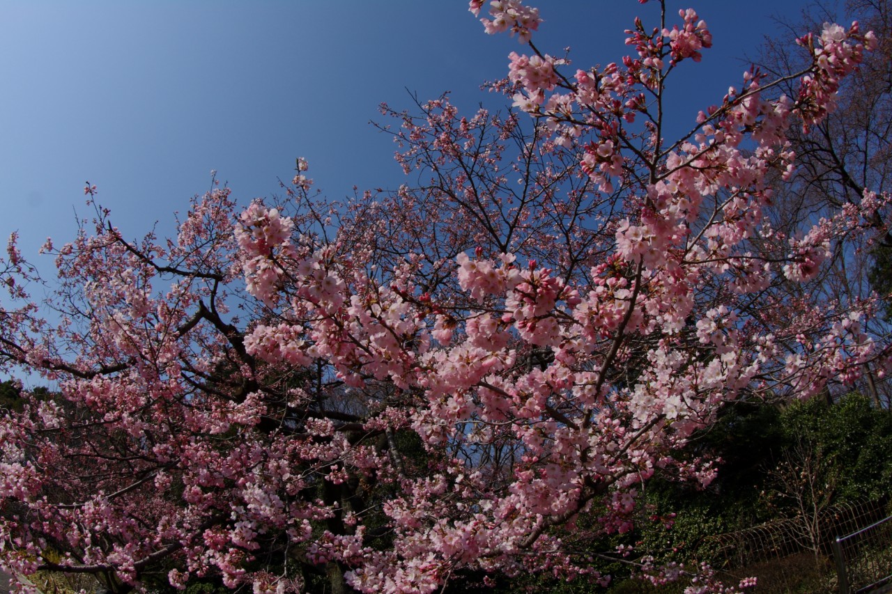 b0129829_15374950.jpg