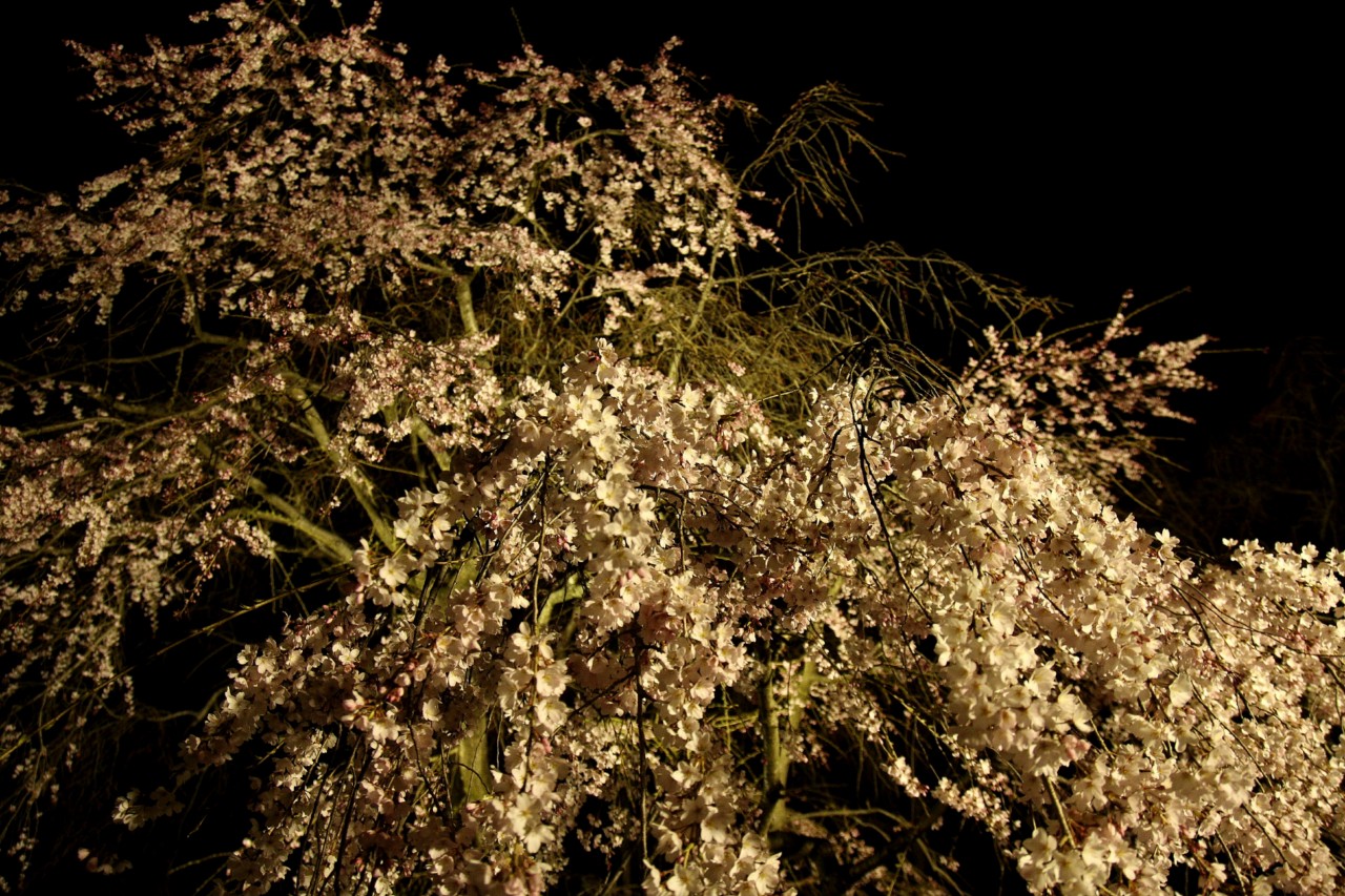 b0129829_15455011.jpg