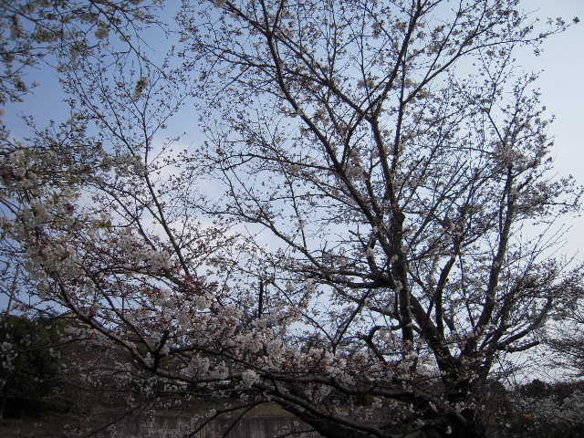 b0025633_2334153.jpg