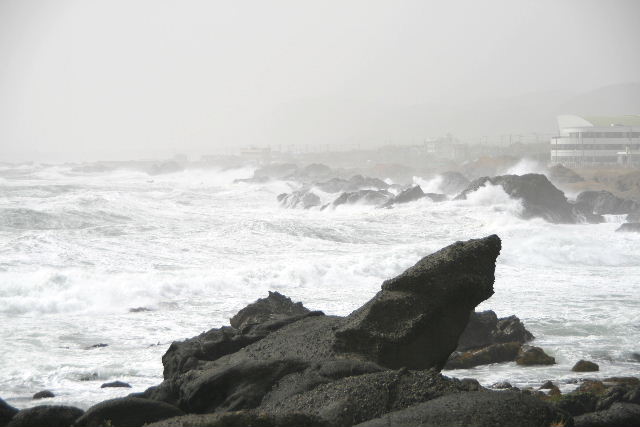 e0064133_0222067.jpg