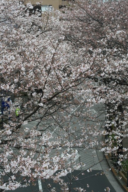f0157538_21193723.jpg