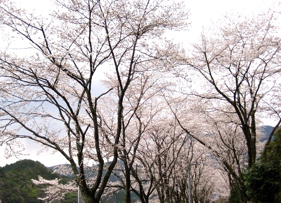 b0149340_20102946.jpg