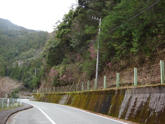 b0149340_20542894.jpg