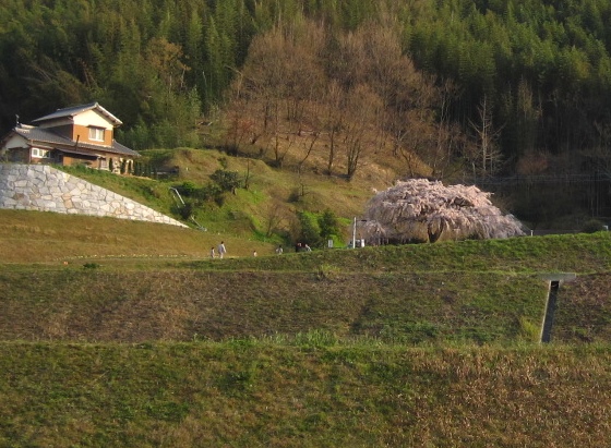 b0149340_21113394.jpg