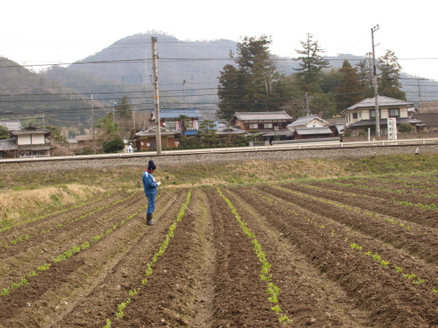 c0072843_1734157.jpg
