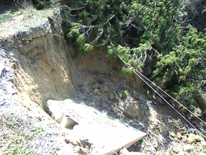 f0229250_2040112.gif