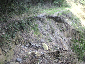 f0229250_20413625.gif