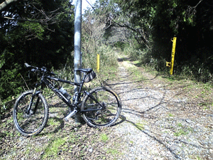 f0229250_20425570.gif