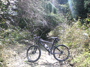 f0229250_20432912.gif