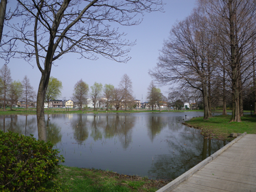 a0019751_14102019.jpg